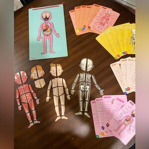 Janod Learning About the Body Magnets from Juratoys - Multiple Languages